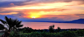 Villas Basile